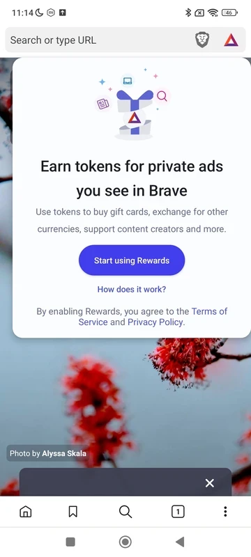 Brave Browser — στιγμιότυπο οθόνης 1